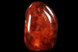 Tall, Polished Carnelian Agate With Cut Base - Madagascar #91517-1